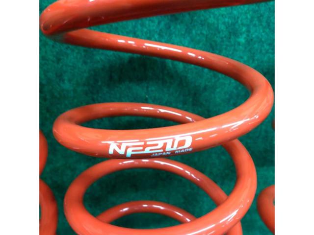 【tanabe】SUSTEC NF210