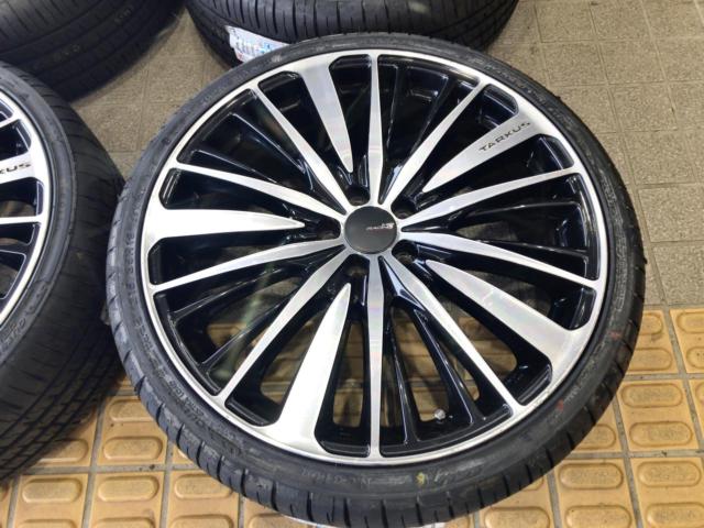 BADX 632 LOXARNY TARKUS + NEOLIN NEOSPORT