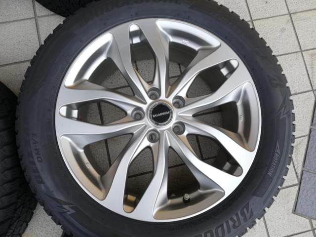 BALMINUM DSM+BRIDGESTONE DM-V3 225/55R18