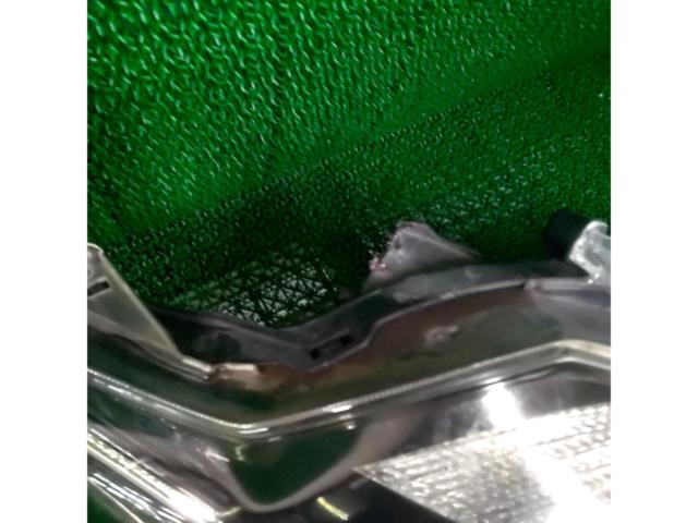 片側のみ【トヨタ純正】TOYOTA 純正ヘッドライト