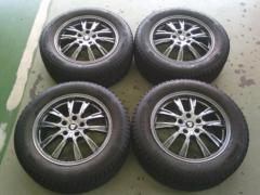 BRIDGESTONE BLIZZAK DM-V3 + TECHNOPIA APHRODITE GX