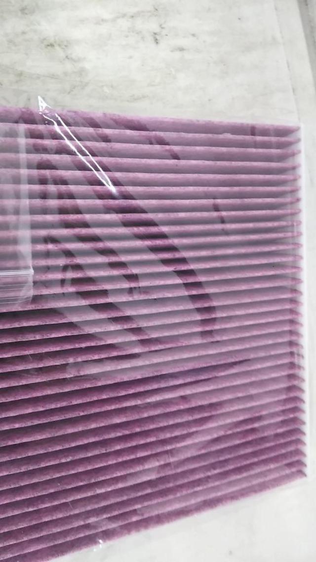 PIAA
Air filter
Part Number: EVFP-N10