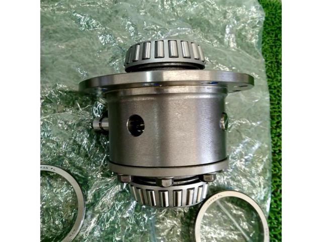 Suzuki genuine differential
