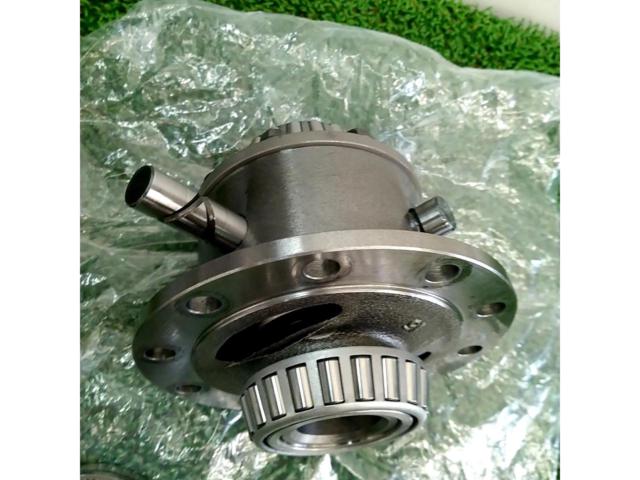Suzuki genuine differential