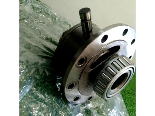 Suzuki genuine differential