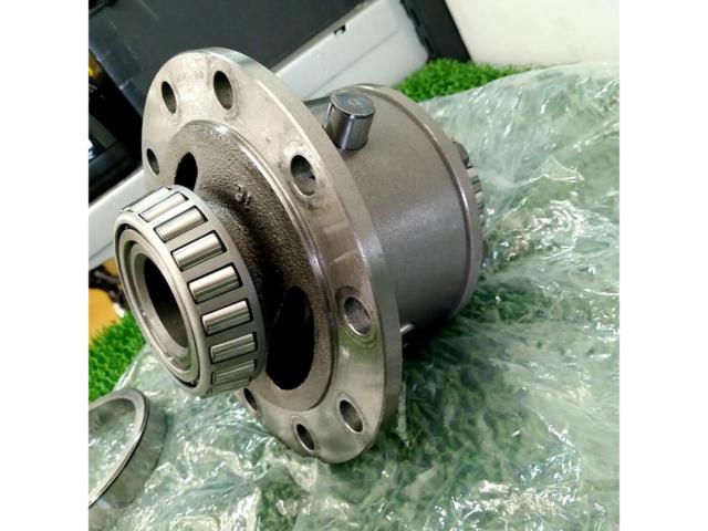 Suzuki genuine differential