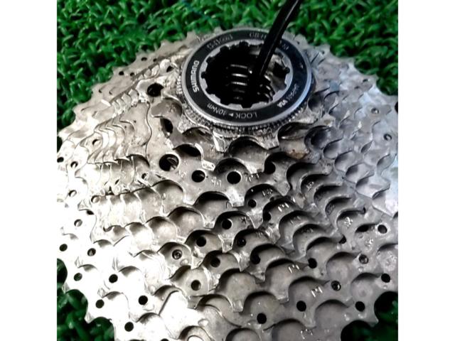 11-34T/10s/8,9sフリー対応 SHIMANO SHIMANO CS-HG500-10 カセットスプロケット
