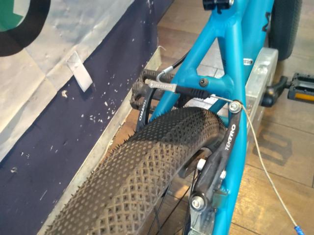 MARIN DONKY JR18 18x2.00 シングルギア キッズ自転車 グリーン 適応身長:100-120cm
