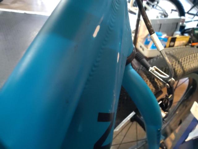 MARIN DONKY JR18 18x2.00 シングルギア キッズ自転車 グリーン 適応身長:100-120cm