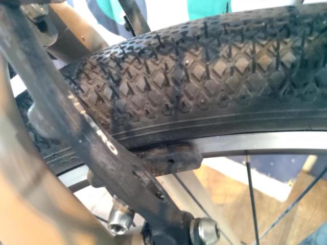 MARIN DONKY JR.24 24x2.00 外装6段変速 キッズ自転車 マットモカ