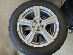 【その他】 VIOLENTO+【DUNLOP】WINTERMAXX WM02