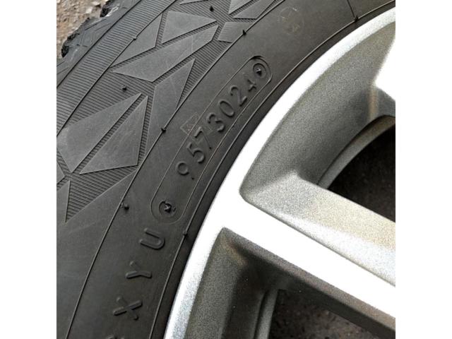 KYOHO SEIN SV + TOYO OBSERVE GIZ2