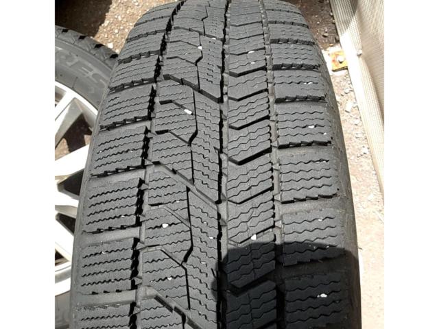 KYOHO SEIN SV + TOYO OBSERVE GIZ2