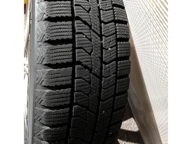 KYOHO SEIN SV + TOYO OBSERVE GIZ2