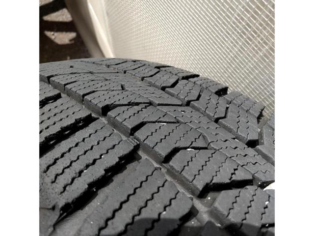 KYOHO SEIN SV + TOYO OBSERVE GIZ2