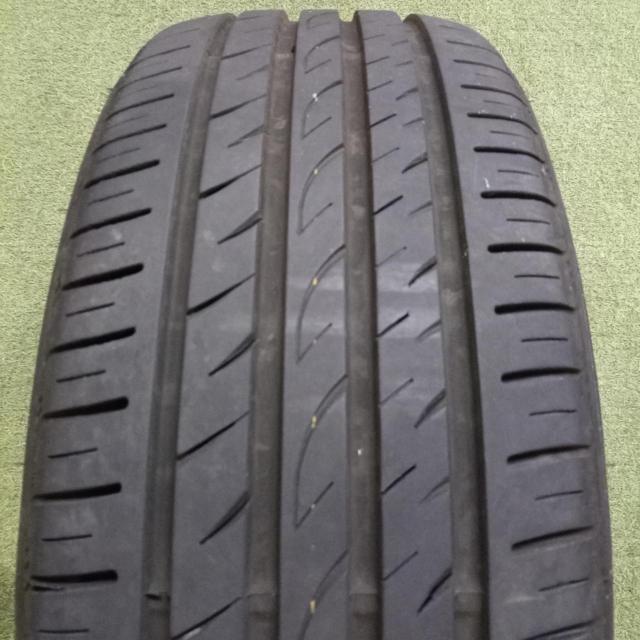 【ROADSTONE】EUROVIS Sport 04 2025年製造
