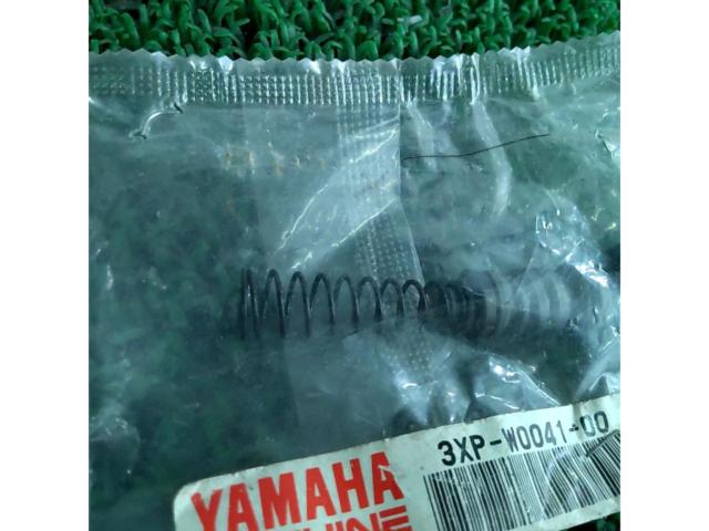 YAMAHA Master Cylinder Kit
DT250 etc.