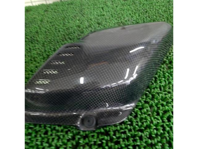 FORCE
DESIGN
Carbon Side Air Cleaner Cover