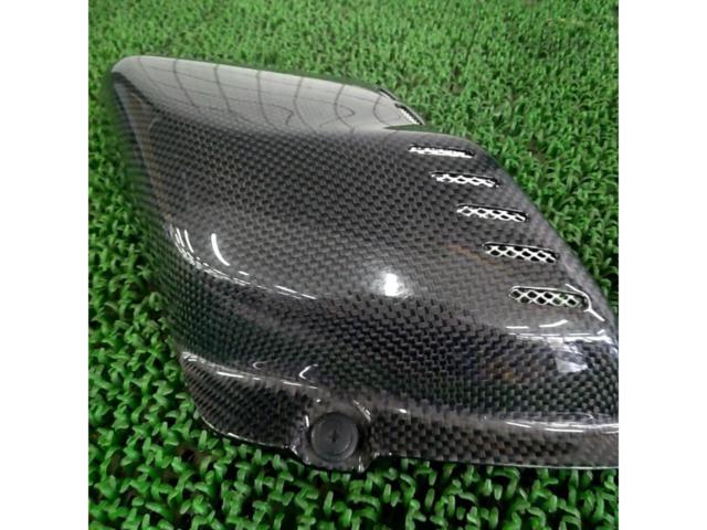 FORCE
DESIGN
Carbon Side Air Cleaner Cover