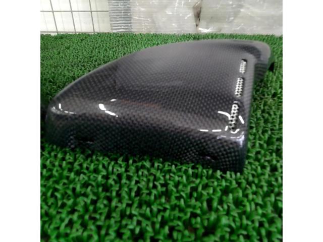 FORCE
DESIGN
Carbon Side Air Cleaner Cover