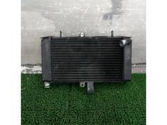 Genuine Honda radiator
CBR250R (MC19)