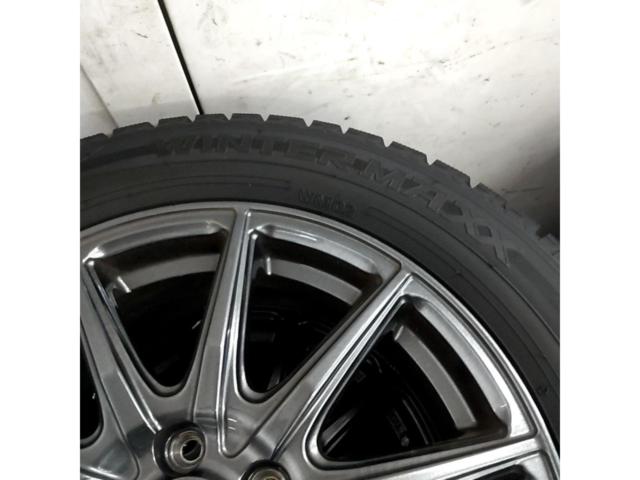 Lehrmeister ESTROSA + DUNLOP WINTER MAXX 02