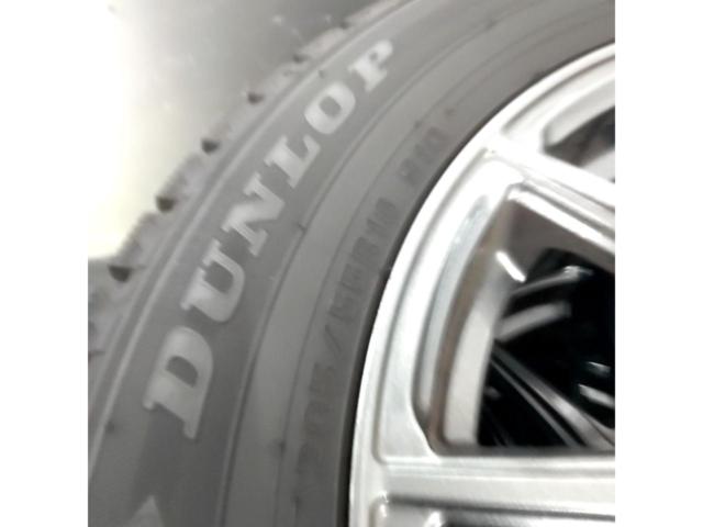 Lehrmeister ESTROSA + DUNLOP WINTER MAXX 02
