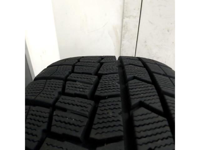 Lehrmeister ESTROSA + DUNLOP WINTER MAXX 02