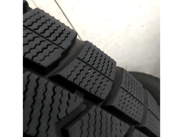 Lehrmeister ESTROSA + DUNLOP WINTER MAXX 02
