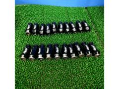 【M12×P1.5】Durax アルミブラックナット 19HEX 20個入り