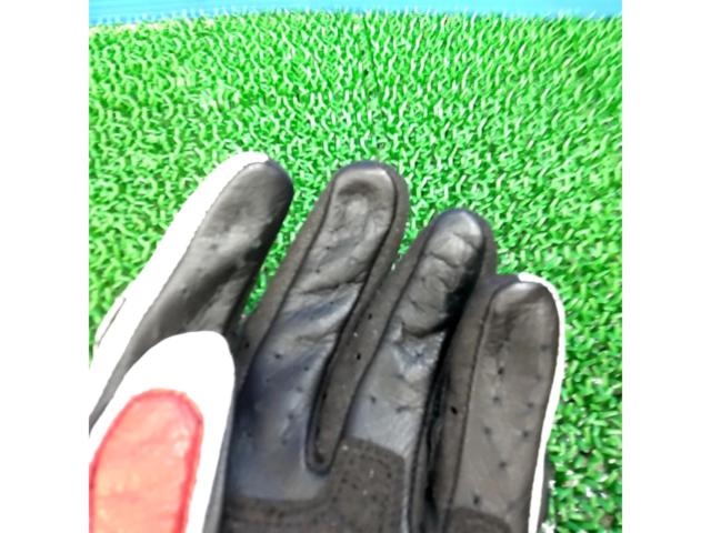 Size LL HYOD (Hyodo)
Leather short gloves (Spring/Summer)