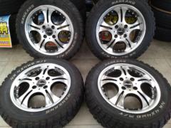 BRIDGESTONE Lowenzahn VIP + NANKANG NK 4×4WD M/T
