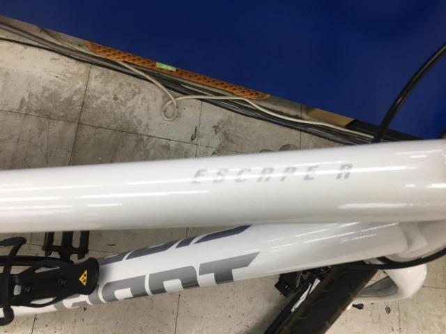 GIANT ESCAPE R
