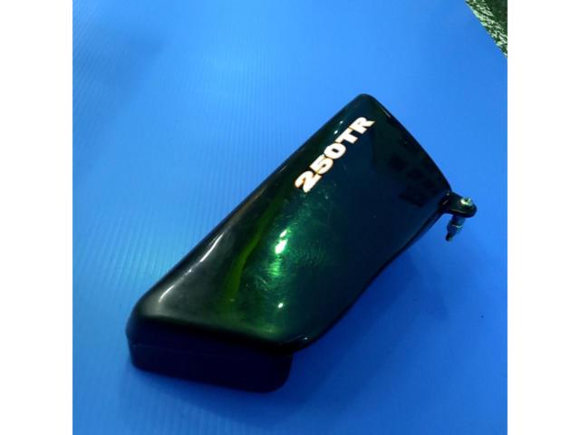 【250TR】KAWASAKI(カワサキ) 純正サイドカバー/36001-1675【左側のみ】