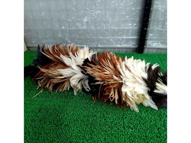 メーカー不明 毛ばたき
