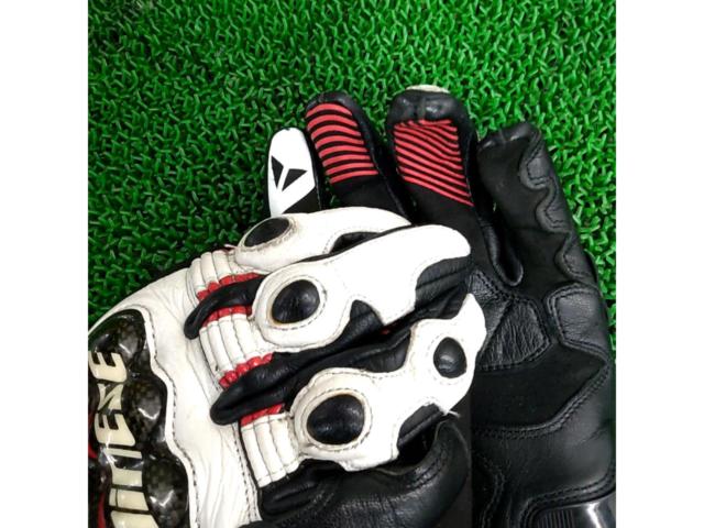 Size: XLDAINESE
Globe