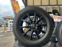 Lehrmeister ELBE  ESTROSA+DUNLOP WINTERMAXX WM03