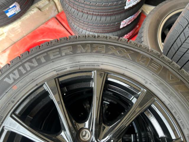 Lehrmeister ELBE  ESTROSA+DUNLOP WINTERMAXX WM03