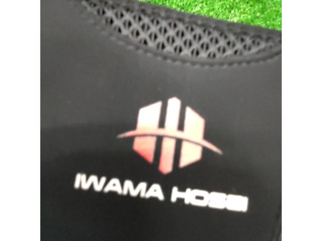 IWAMA
HOSEI
corset