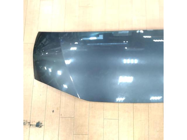 TRISTAR’S バッドフェイスボンネット
