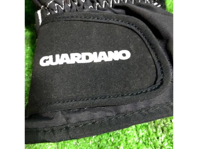 サイズ:L Guardiiano ウインターグローブ
