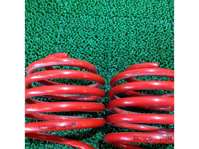 Monster
Sport
Lowdown spring
HA36S
Rear only