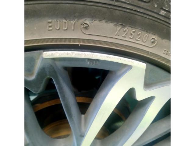 R-PRIDE WADO 和道 桜 五分咲き