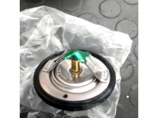 YAMAHA
4FM-12410-01
Thermostat