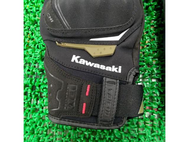 【RSTaichi】KAWASAKIコラボ ドライマスターコンパスグローブ サイズM