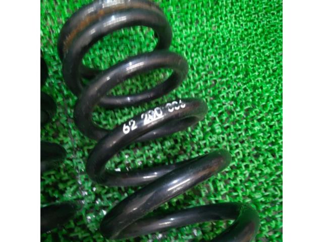 ID62/H200/6kBLITZ Coil Springs