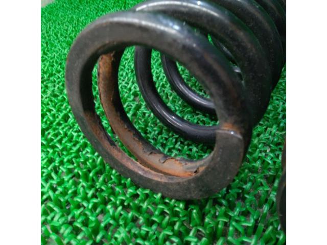 ID62/H200/6kBLITZ Coil Springs