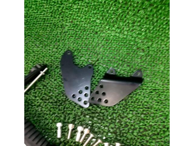 Kawasaki
ZRX1200
DAEG genuine step area
