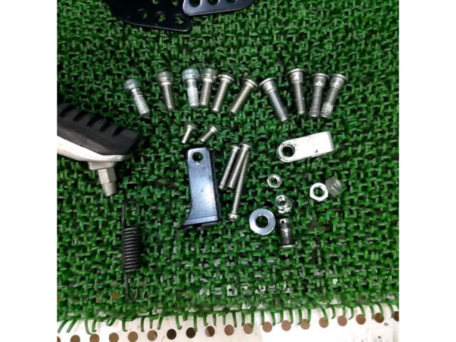 Kawasaki
ZRX1200
DAEG genuine step area