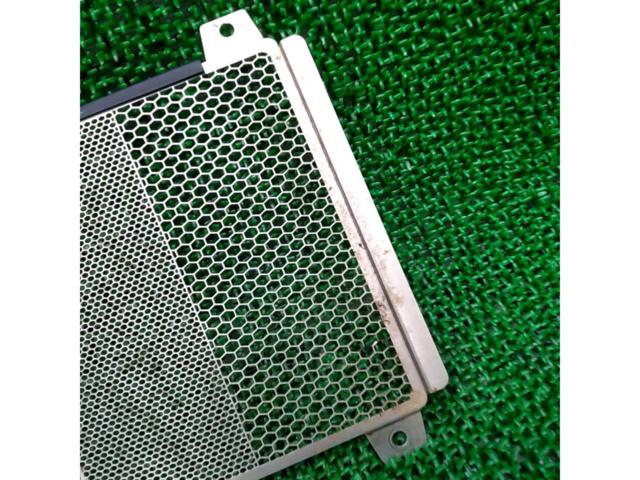 Trickster
Ninja400 / 250
('18~)
Radiator core guard